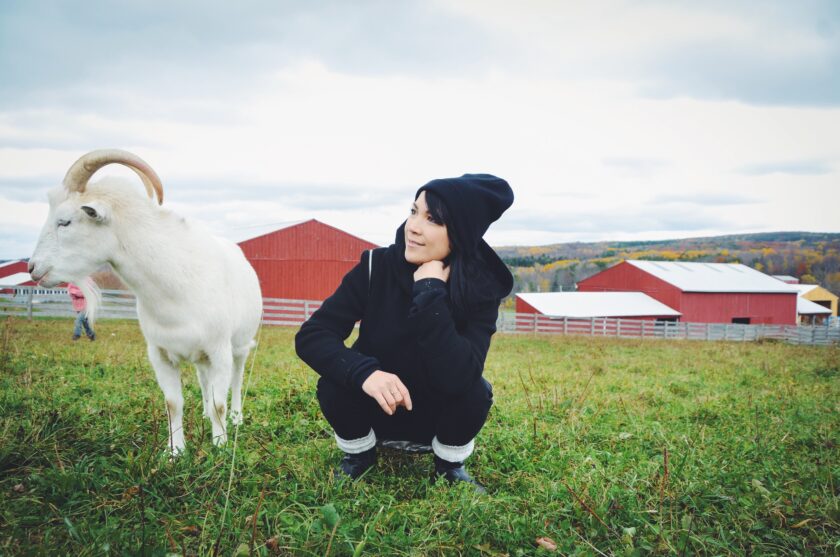 Farm Sanctuary_hot for food