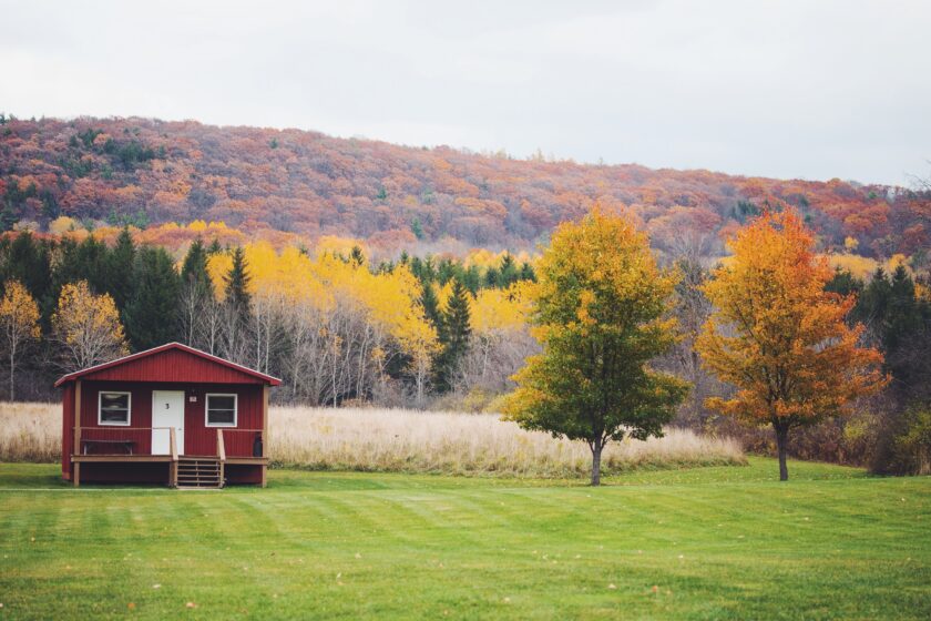watkins glen farm sanctuary_hot for food