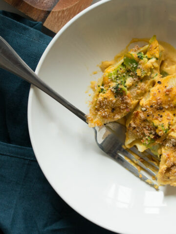 broccoli and cheese stuffed shells_hot for food