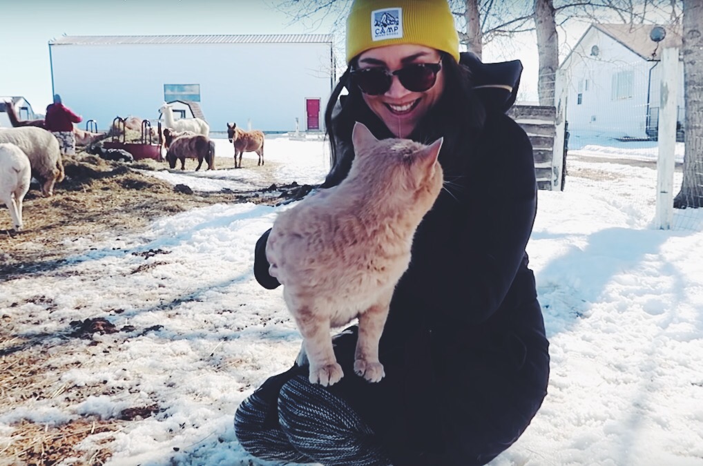 calgary6_hot for food